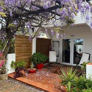Arriba Stijlvol Met Zwembad En Tuin Apartamento